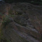 rjr_DSC07604