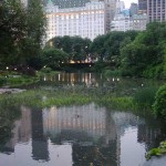rjr_DSC07609