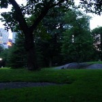 rjr_DSC07613